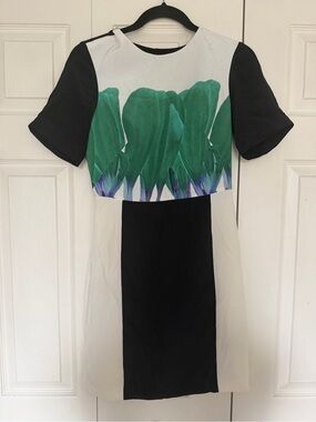 Tibi silk dress